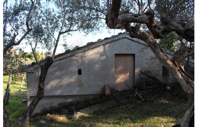 immagine annuncio 2 di 7