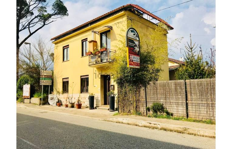 immagine annuncio 5 di 7