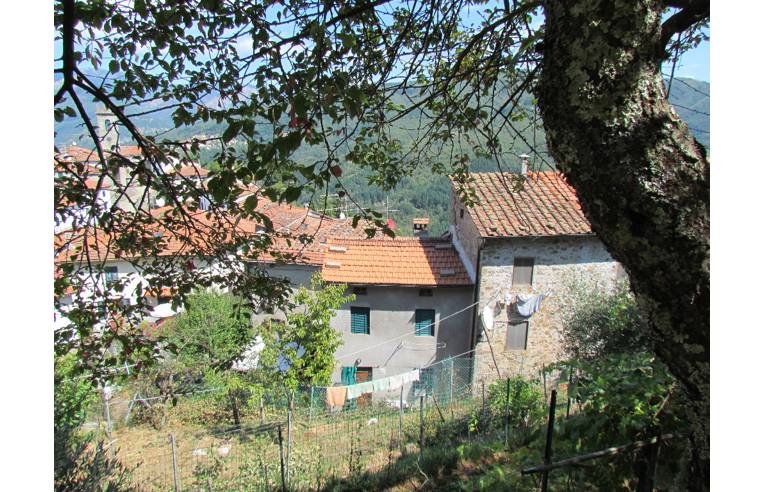immagine annuncio 3 di 7
