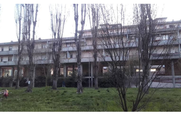 Foto 7 - Appartamento in Vendita da Privato - Montevarchi (Arezzo)