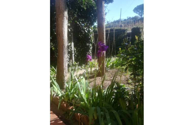 Foto 2 - Casa indipendente in Vendita da Privato - Vinci (Firenze)