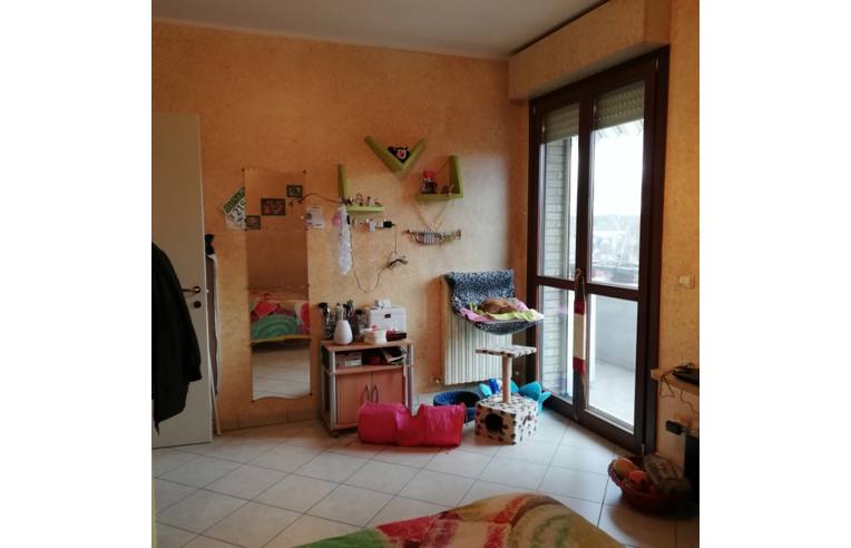 immagine annuncio 5 di 7