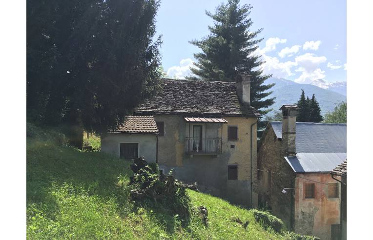 immagine annuncio 1 di 7