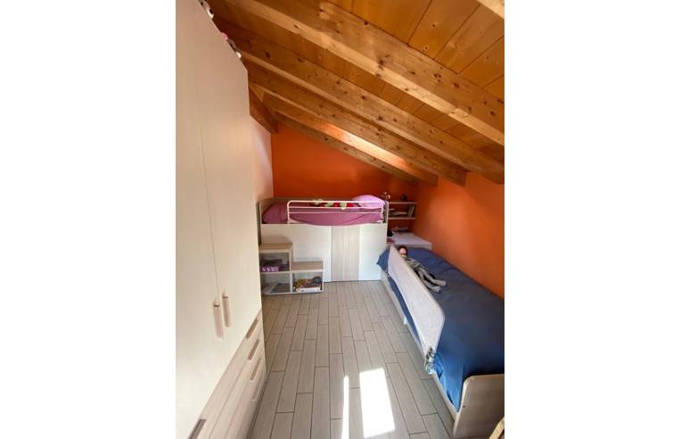 immagine annuncio 6 di 7