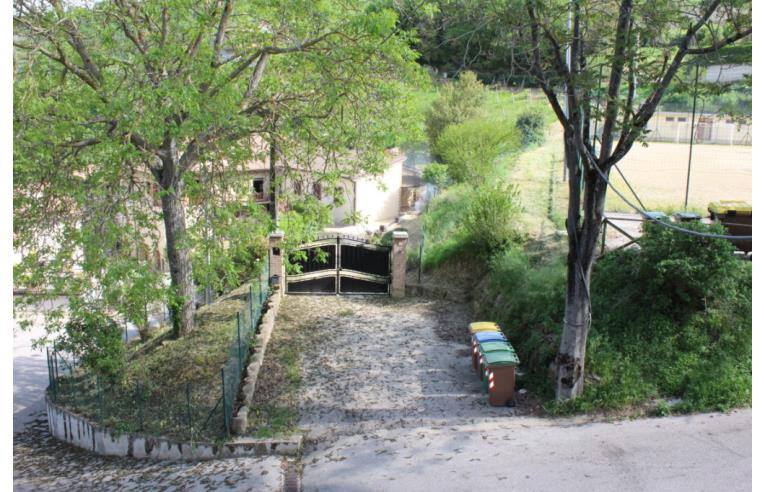 immagine annuncio 2 di 7