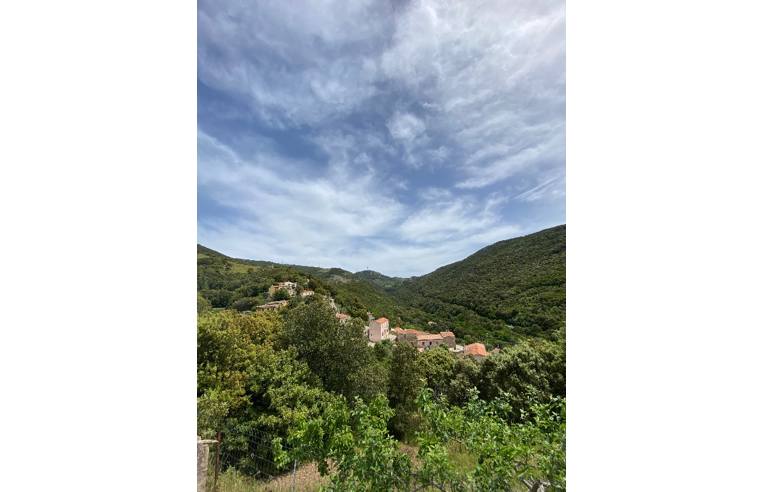 Foto 4 - Casa indipendente in Vendita da Privato - Bortigiadas (Olbia-Tempio)