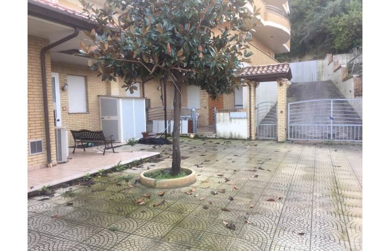immagine annuncio 3 di 6