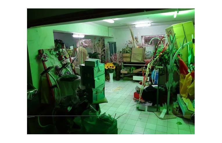 Foto 4 - Attività Altro - Non Alimentare in Vendita da Privato - Benevento, Frazione Centro città