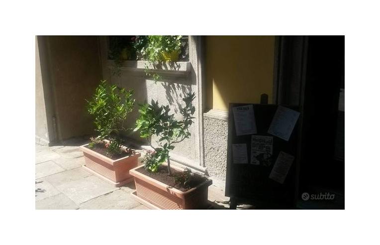 immagine annuncio 1 di 2
