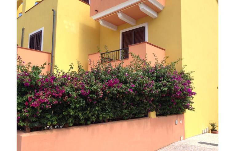 Foto 3 - Appartamento in Vendita da Privato - Santa Teresa Gallura (Olbia-Tempio)