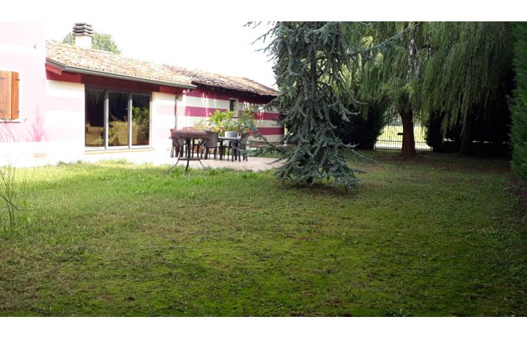 immagine annuncio 3 di 7