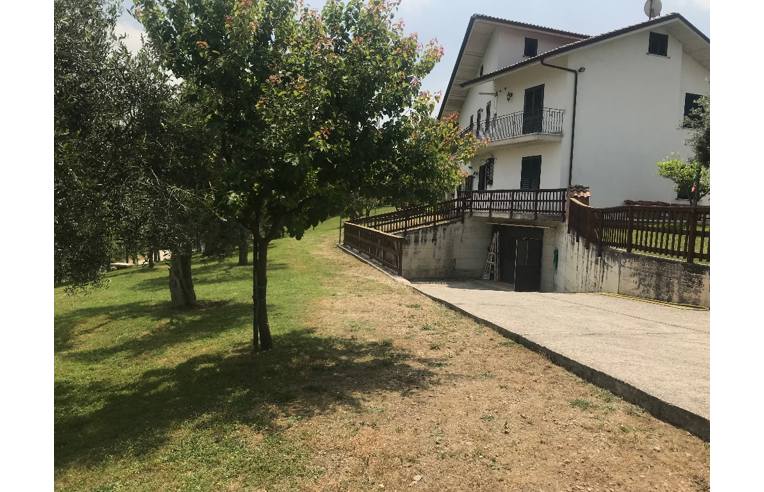immagine annuncio 4 di 6