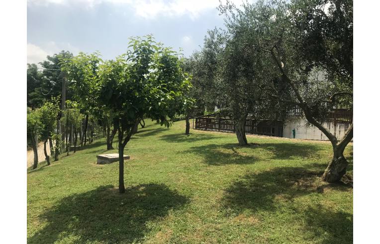 immagine annuncio 2 di 6