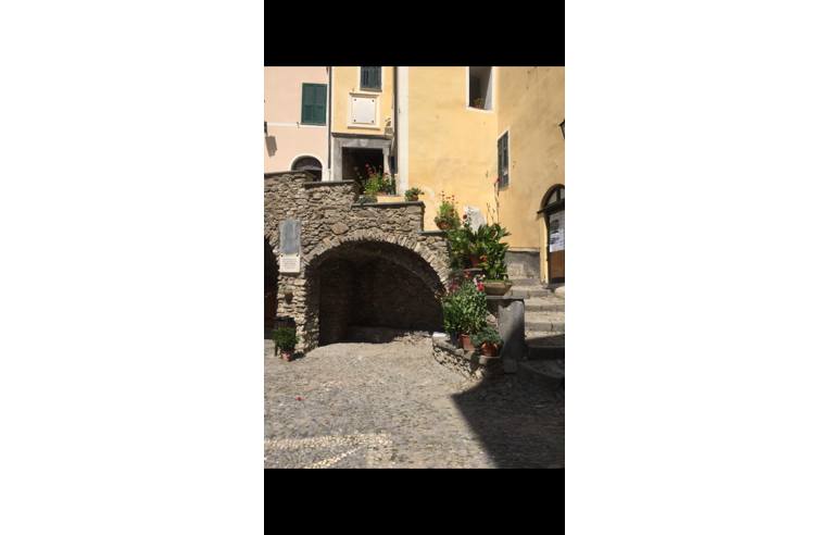 immagine annuncio 3 di 7