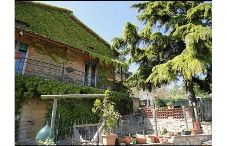 immagine annuncio 1 di 7