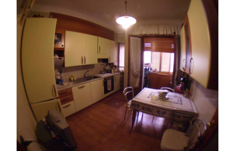 immagine annuncio 4 di 7