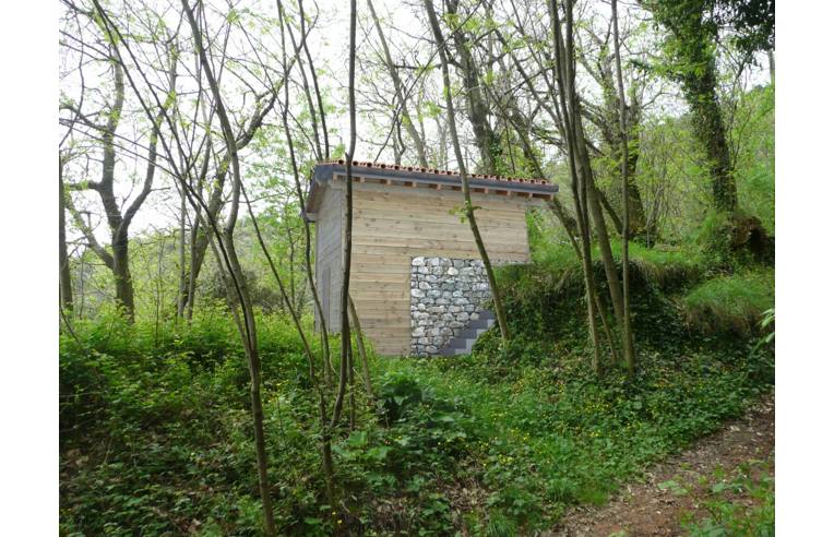 Terreno Agricolo/Coltura in vendita a Camaiore, Frazione Agliano, Via di Agliano Peralla 745