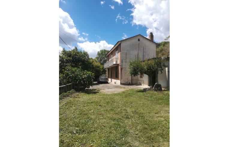immagine annuncio 1 di 3