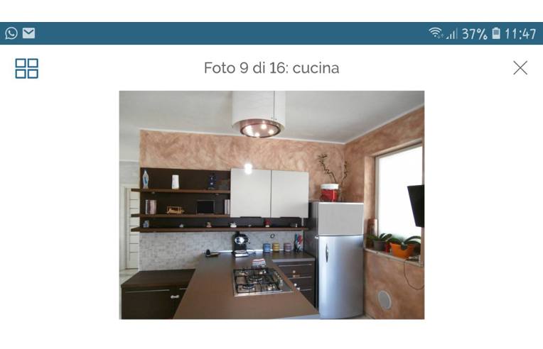 immagine annuncio 2 di 7