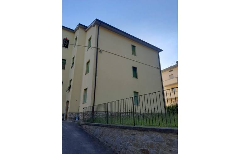 immagine annuncio 5 di 7