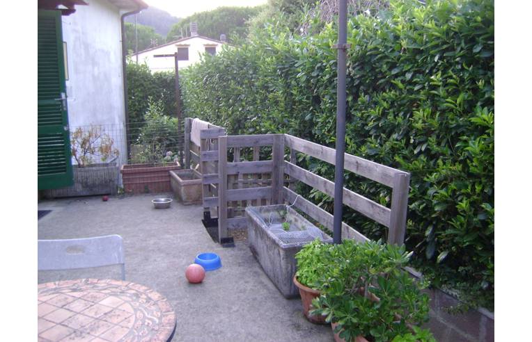 immagine annuncio 1 di 7