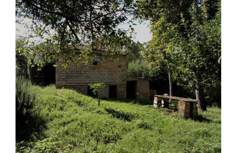 Foto 5 - Rustico/Casale in Vendita da Privato - San Severino Marche, Frazione Agello