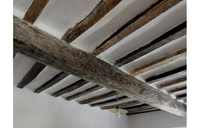 Foto 4 - Rustico/Casale in Vendita da Privato - San Severino Marche, Frazione Agello