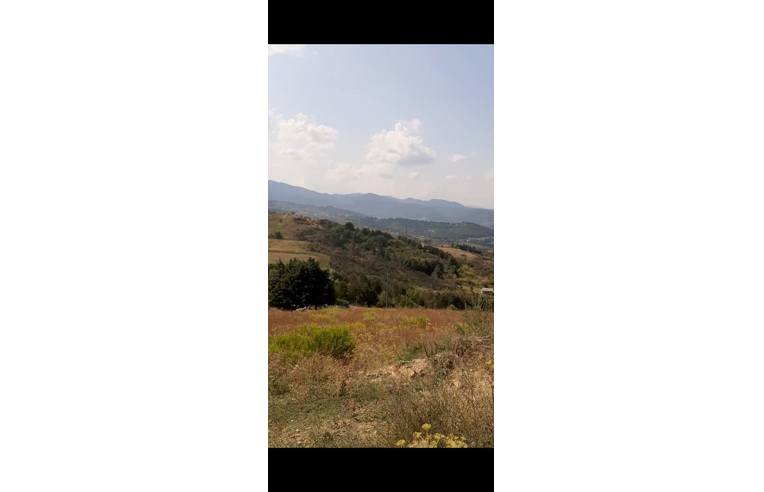 Terreno Agricolo/Coltura in vendita a Pignola, Contrada Piancardillo