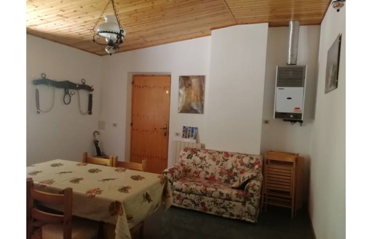 immagine annuncio 2 di 7