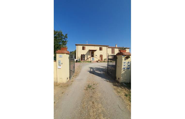 immagine annuncio 3 di 7