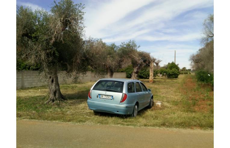 immagine annuncio 2 di 3