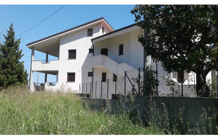 immagine annuncio 6 di 7