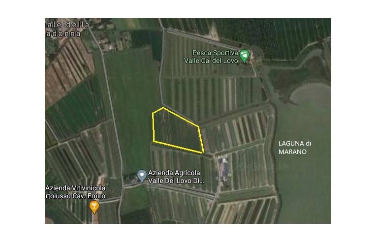 immagine annuncio 3 di 4