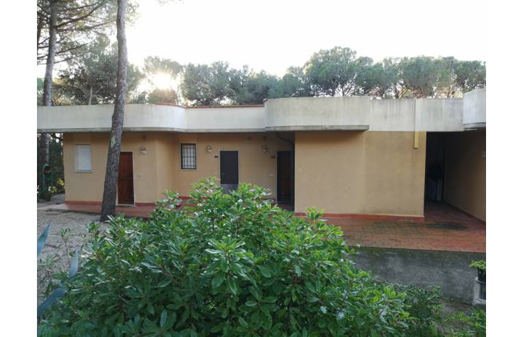 immagine annuncio 5 di 6
