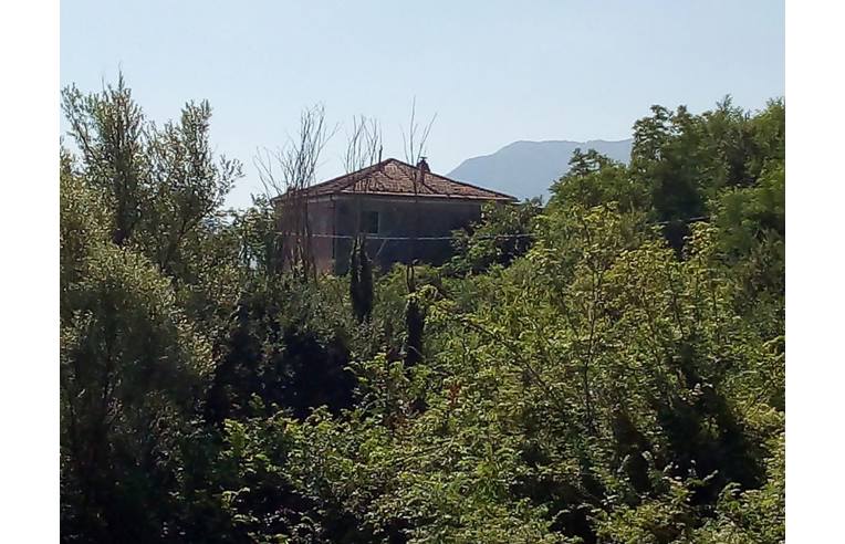 immagine annuncio 1 di 7