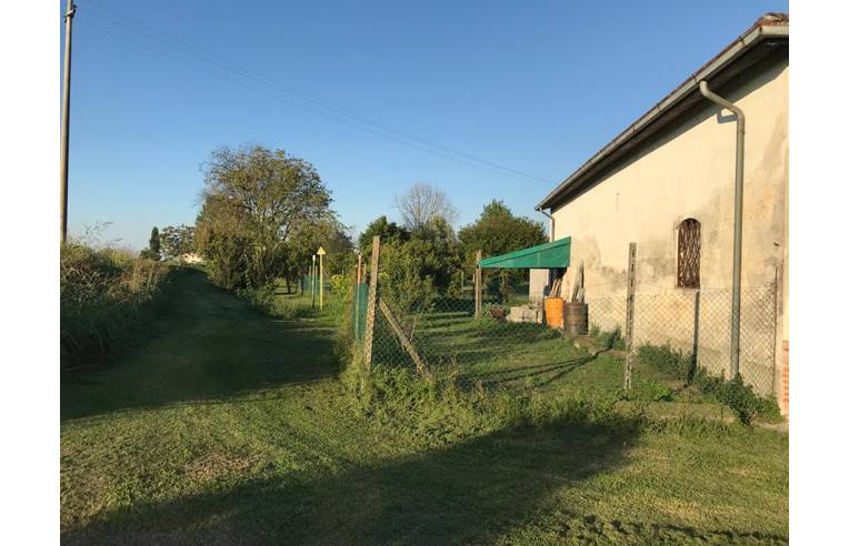 immagine annuncio 1 di 6