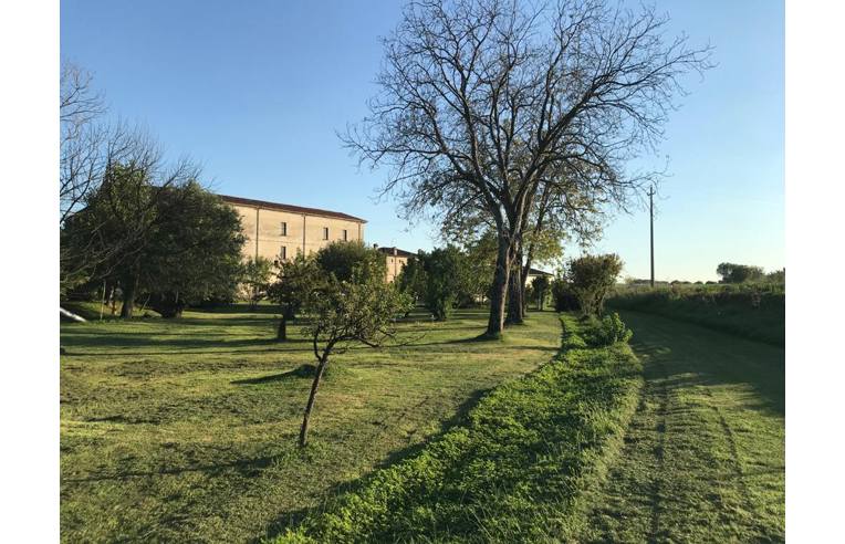 immagine annuncio 2 di 6