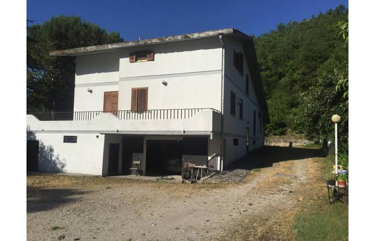 immagine annuncio 5 di 7
