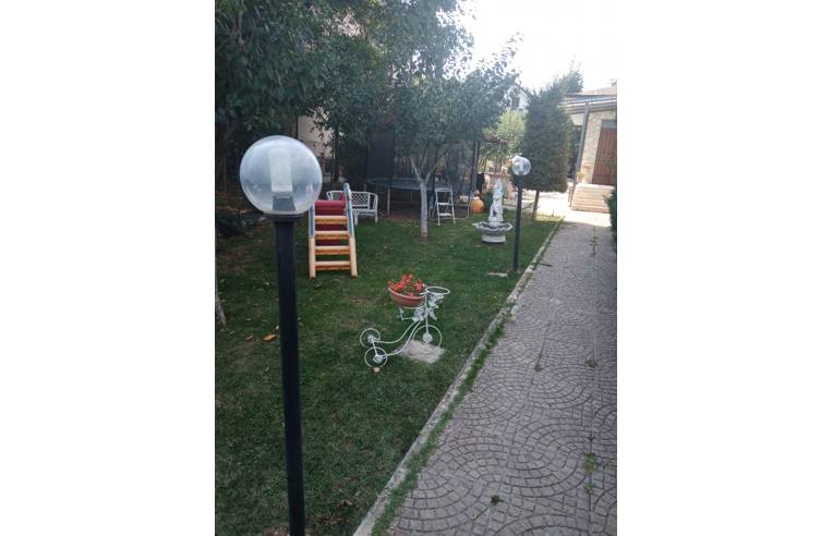 immagine annuncio 2 di 7
