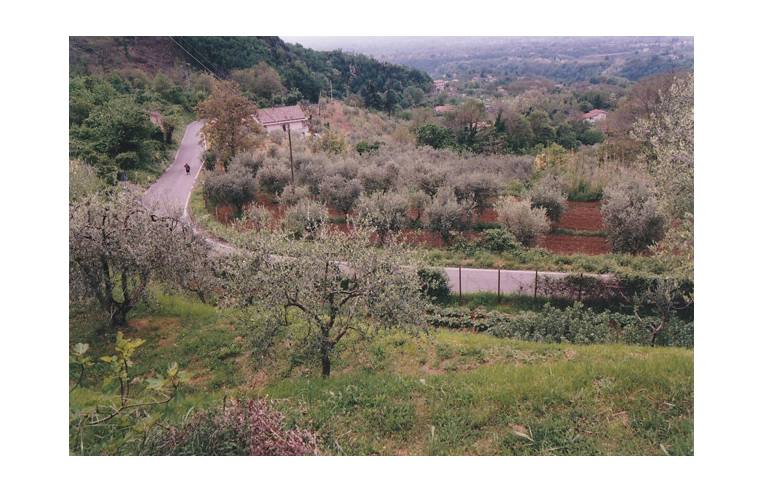 Terreno Agricolo/Coltura in vendita a Rocca di Cave