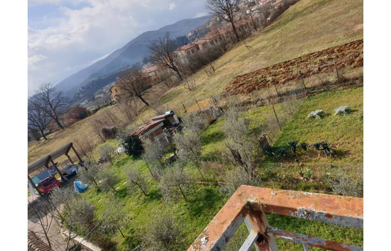 immagine annuncio 2 di 7
