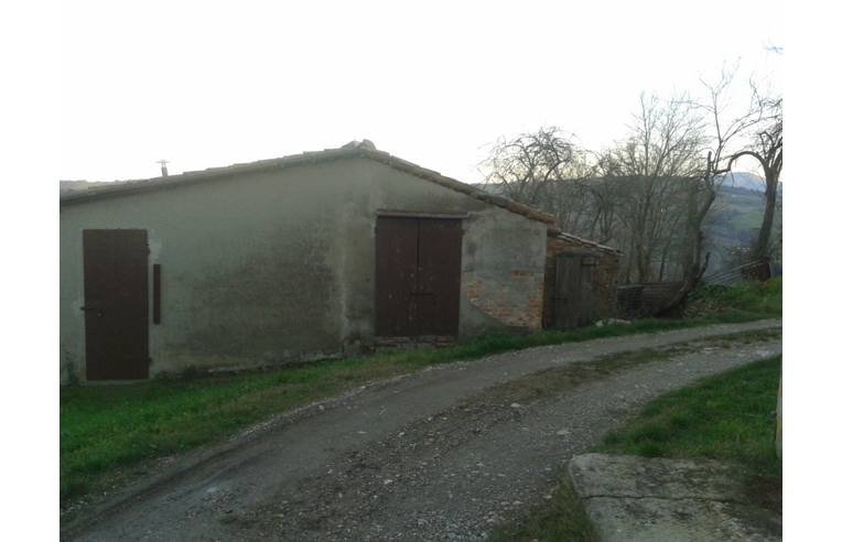 immagine annuncio 1 di 7