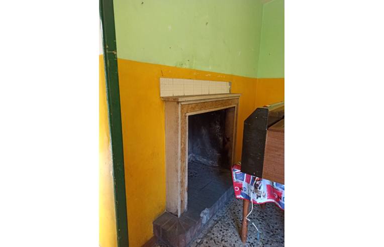 immagine annuncio 3 di 7