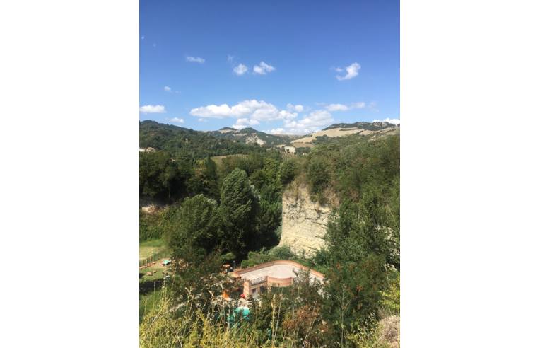 immagine annuncio 6 di 7