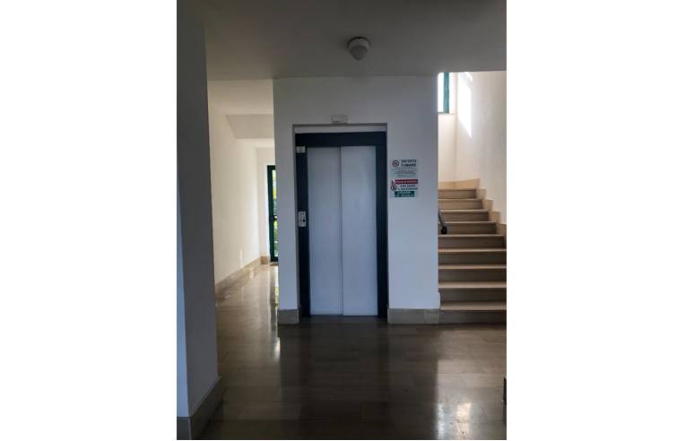 Foto 3 - Appartamento in Vendita da Privato - Pisa, Zona Pisanova
