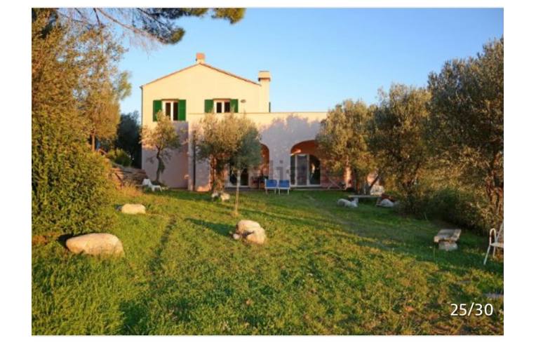 immagine annuncio 5 di 6