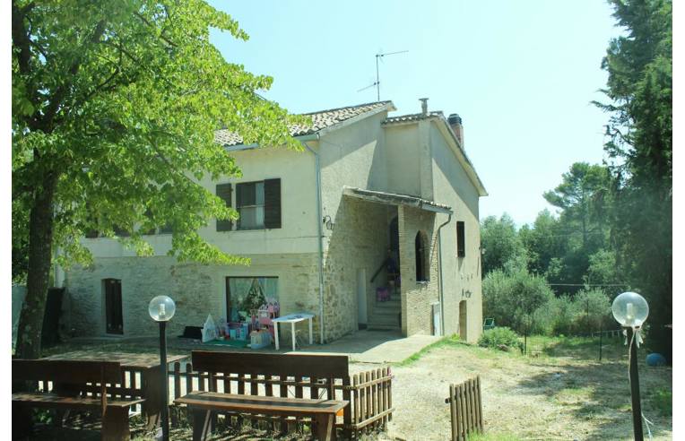 immagine annuncio 5 di 6