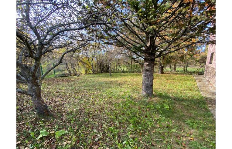 immagine annuncio 6 di 7