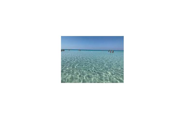 immagine annuncio 5 di 6