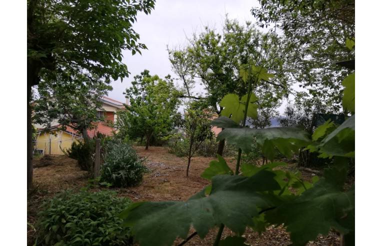 immagine annuncio 1 di 7